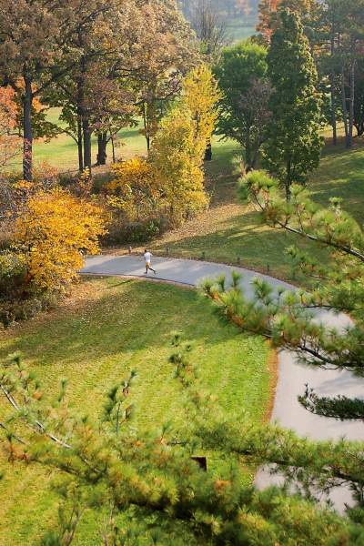 A person runs through the Morton Arboretum during fall