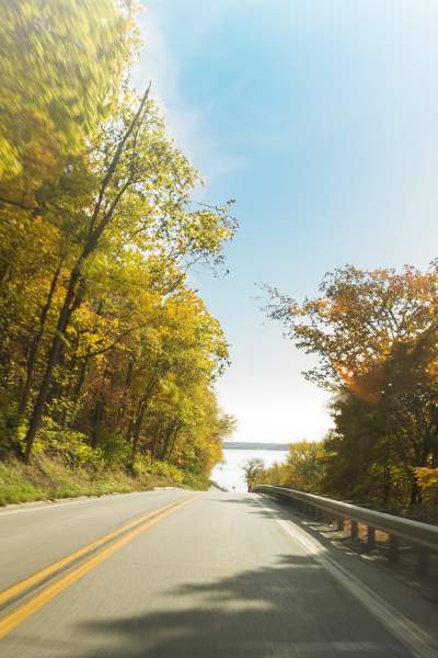 A road surrounded by fall foliage