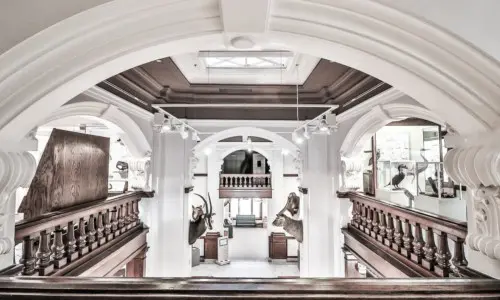 White museum interior
