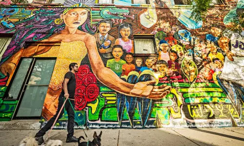 A man walking three dogs in front of a colourful street mural.