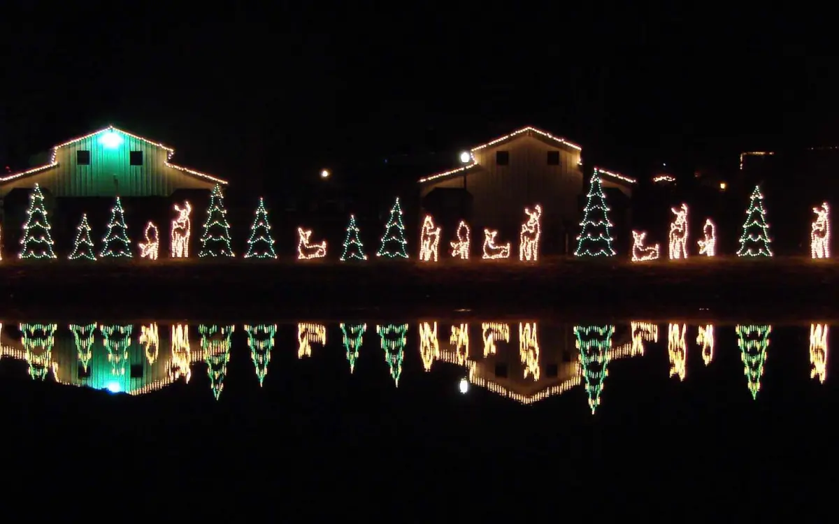  lights along the lake