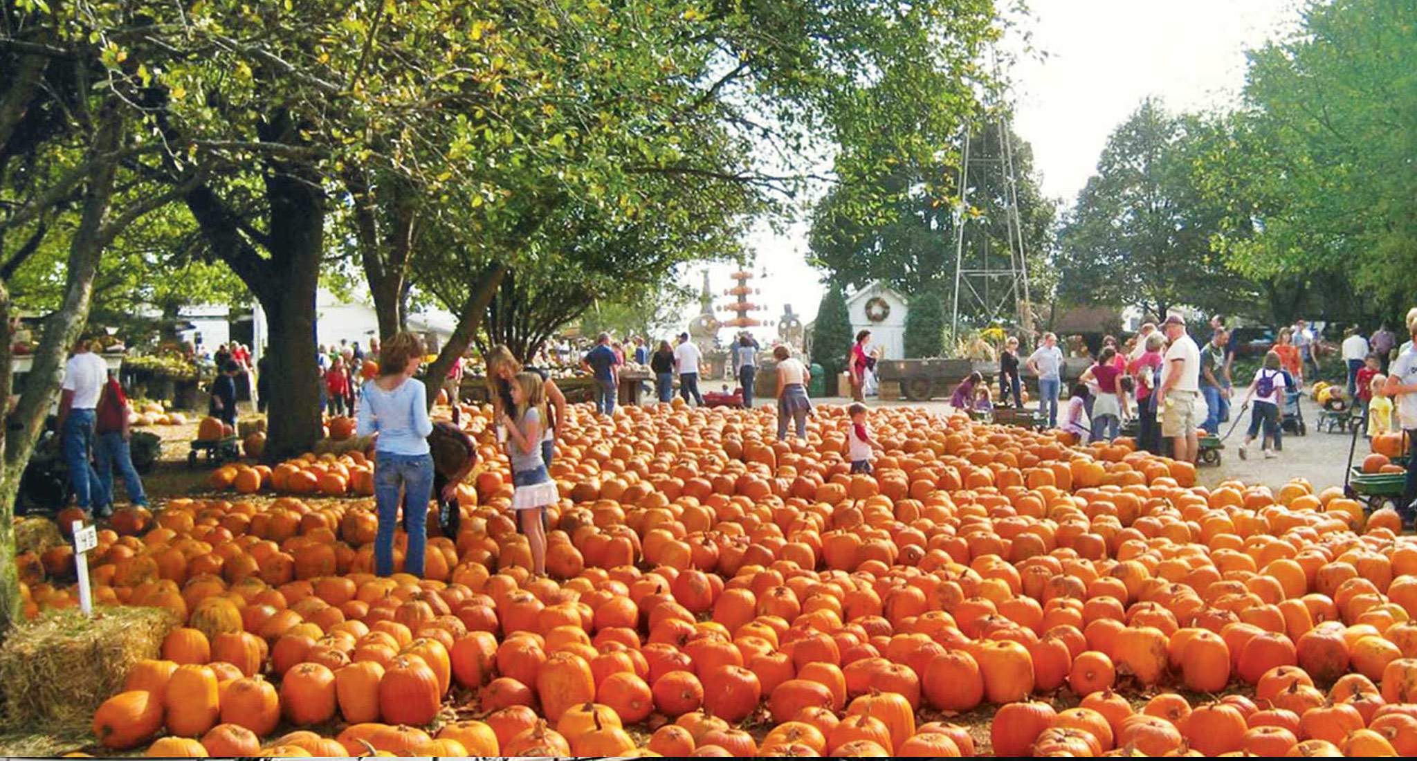 8 Illinois Autumn Adventures To Fall For Enjoy Illinois Disfruta Illinois