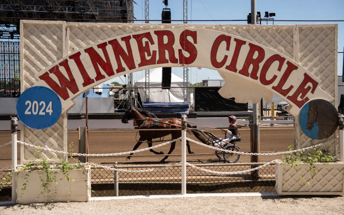 A horse races on a track