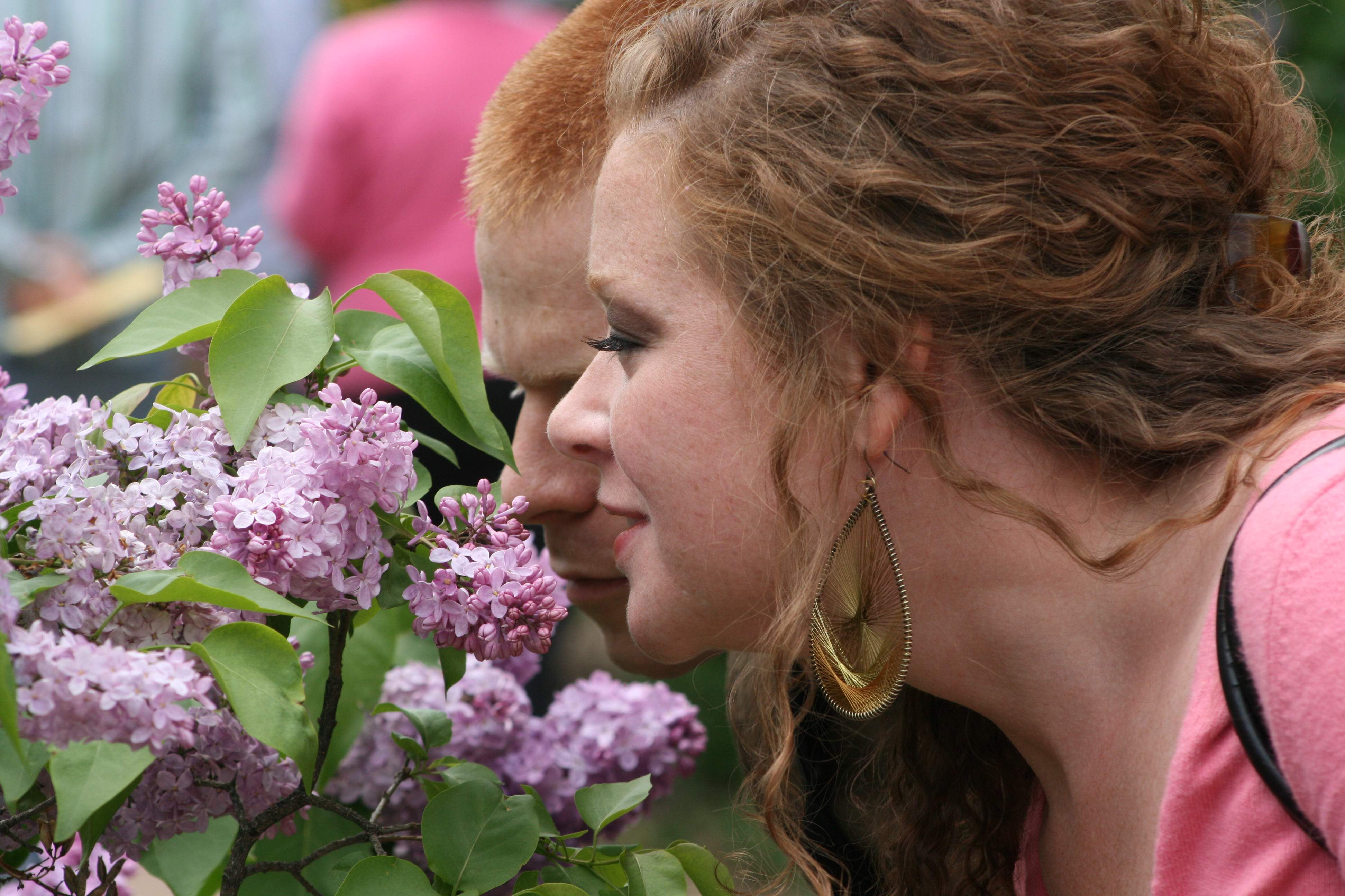 Two people sniffing lilacs at the Lilac Time Festival in Lombard