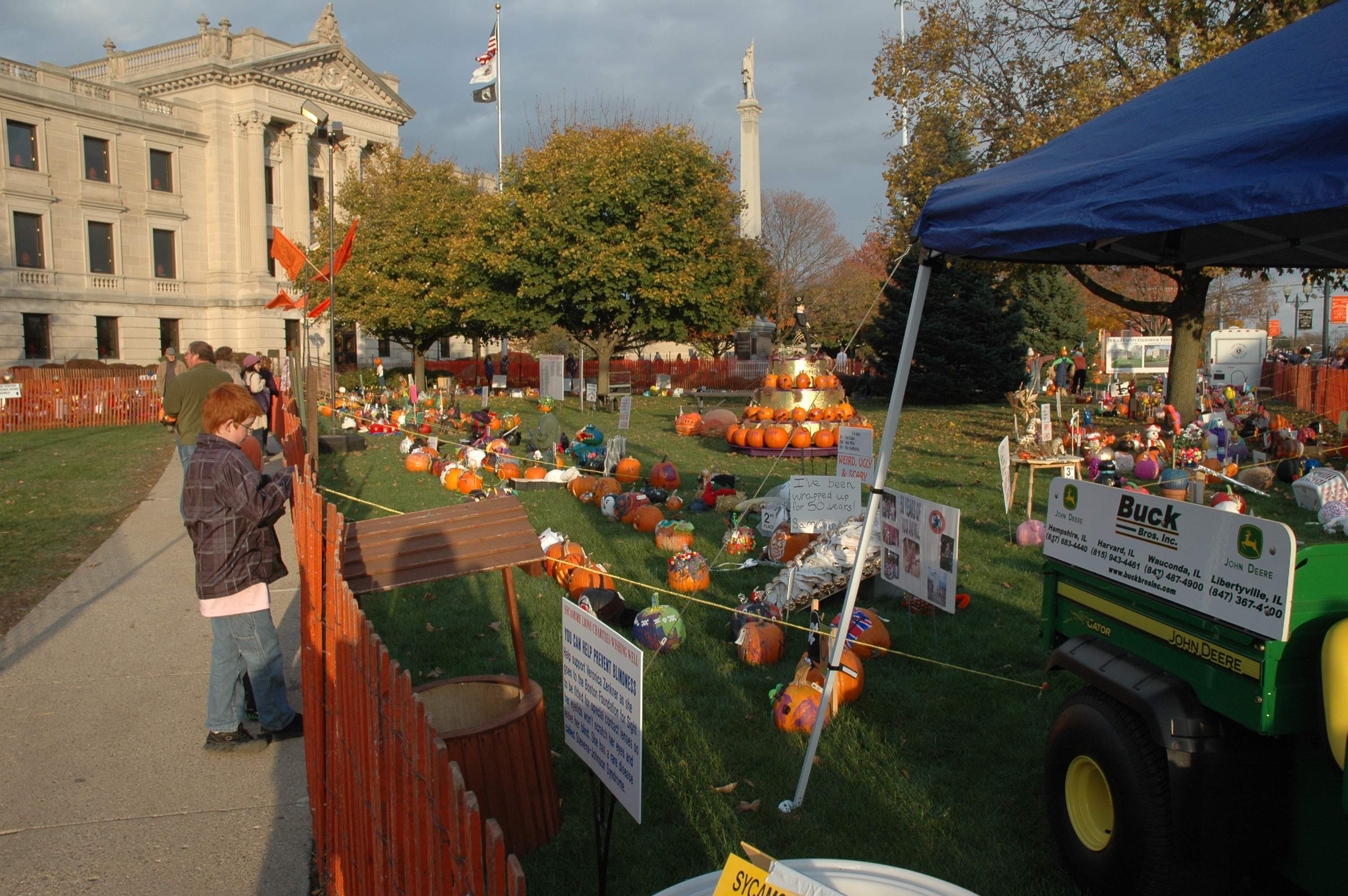 Rows of pumpkins and stalls at the Sycamore Pumpkin Festival
