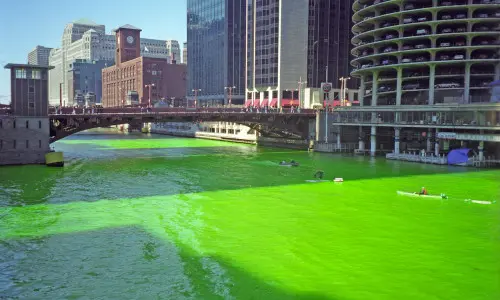 Dyeing of the Chicago River