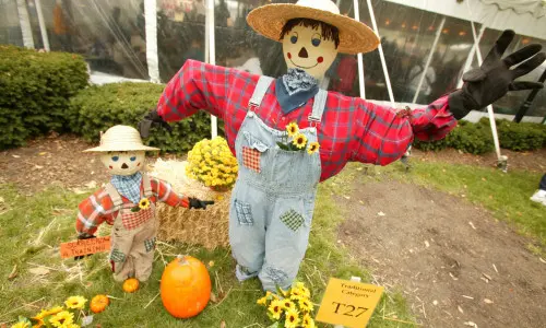 A big scarecrow and a small scarecrow with a sign saying "Scarecrow in training."