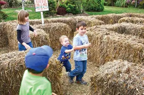 Kids going through a straw maze