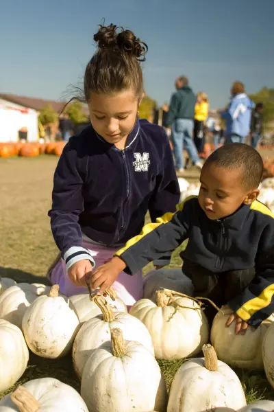 Two young children in jackets picking out pumpkins in a pumpkin patch, with more pumpkins and fall decor visible in the background.