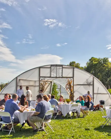 Groups of people sitting around tables outside in the sun enjoy food and drink