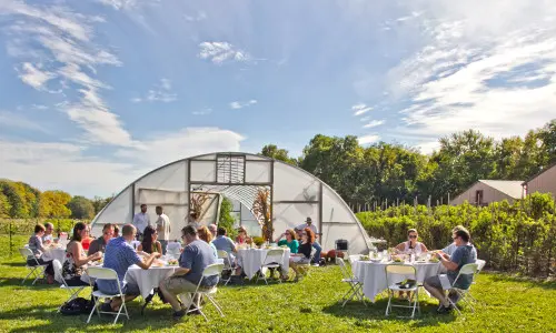 Groups of people sitting around tables outside in the sun enjoy food and drink