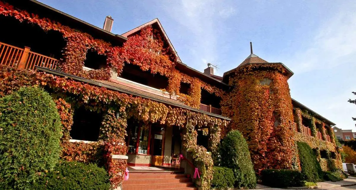 The exterior of the building covered in orange leaves during the fall