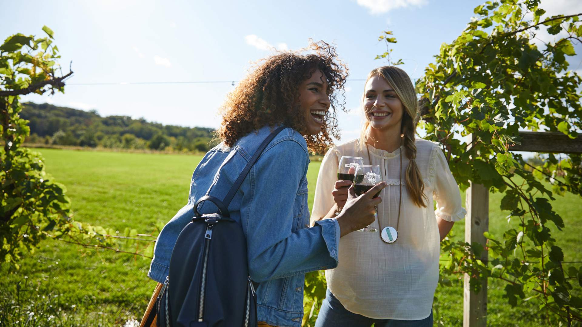 Northern Illinois Wineries | Enjoy Illinois, image size:1920x1080