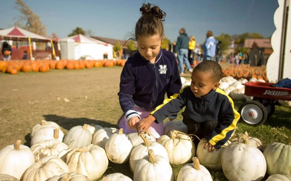 Two kids playing with pumpkins at the great pumpkin patch