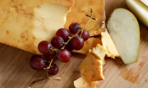 A round of farmstead cheese made at Marcoot Jersey Creamery, Greenville, Illinois. 