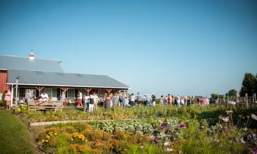 People Gathered chatting and drinking outside the farm house