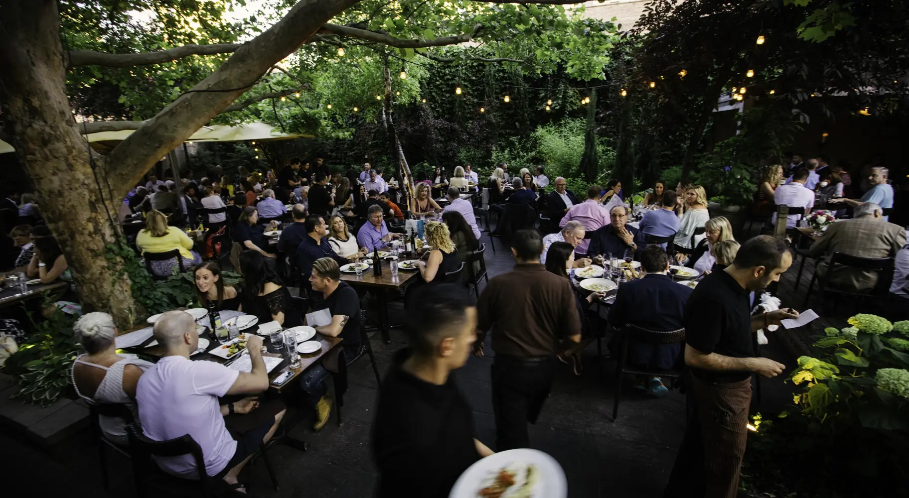 A crowded outdoor dining area at dusk, with tables amongst trees