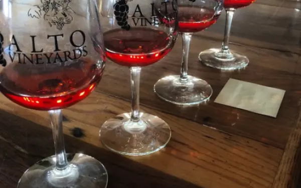 Wine Glasses lined up in the Alto Vineyard's tasting room.