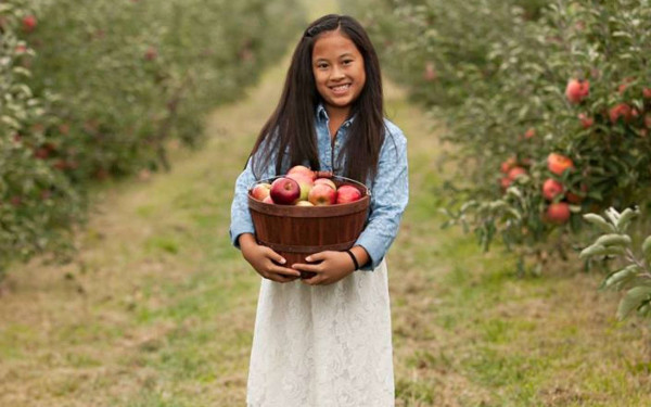A young girl holding a basket of red apples