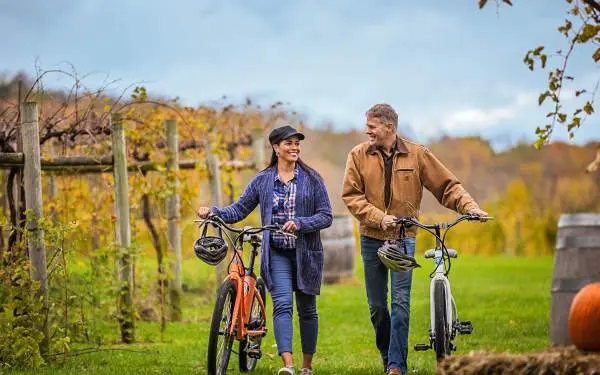 Two people walking their bikes through a vineyard