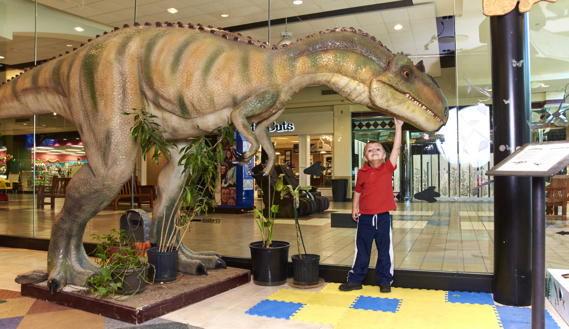 16 Children’s Museums to Visit in Illinois Enjoy Illinois
