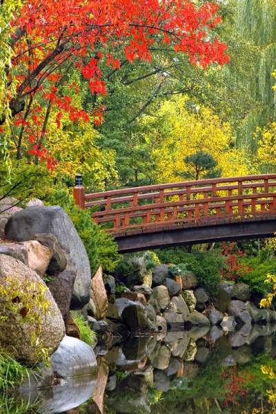 A bridge crosses a pond surrounded by fall foliage