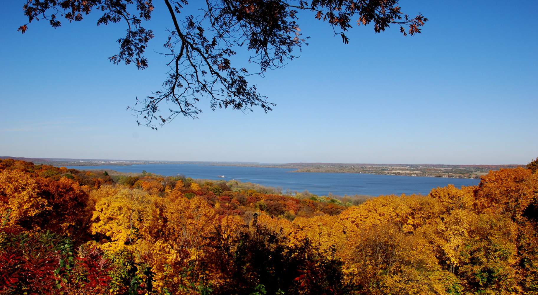 A viewpoint over a forest with fall colors looking towards Peoria Lake 