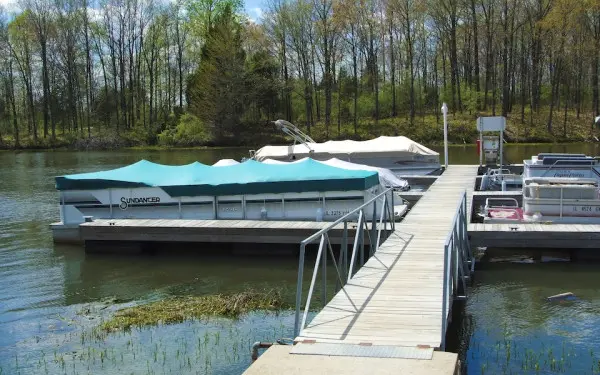 Boats docked at a marina at Lake of Egypt
