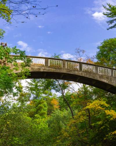 A bridge stretching between two wooded areas, beneath a blue sky