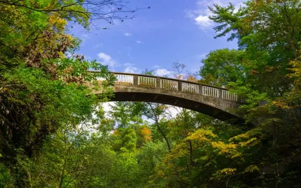 A bridge stretching between two wooded areas, beneath a blue sky