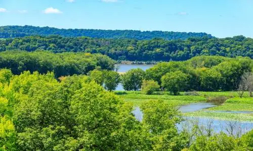 Casper Bluff River and Trees