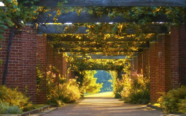Photo of the Garden Grape Arbor path at Chicago Botanic Garden.