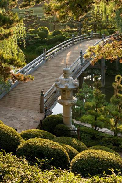 A garden with a bridge
