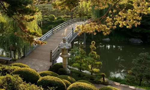 A garden with a bridge