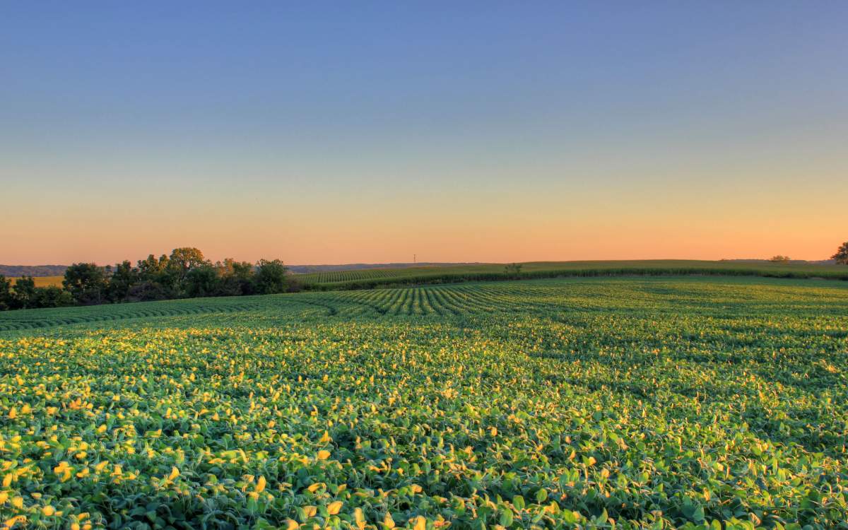 The Mountains of Illinois | Enjoy Illinois