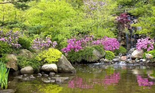 Pond at the Anderson Garden.