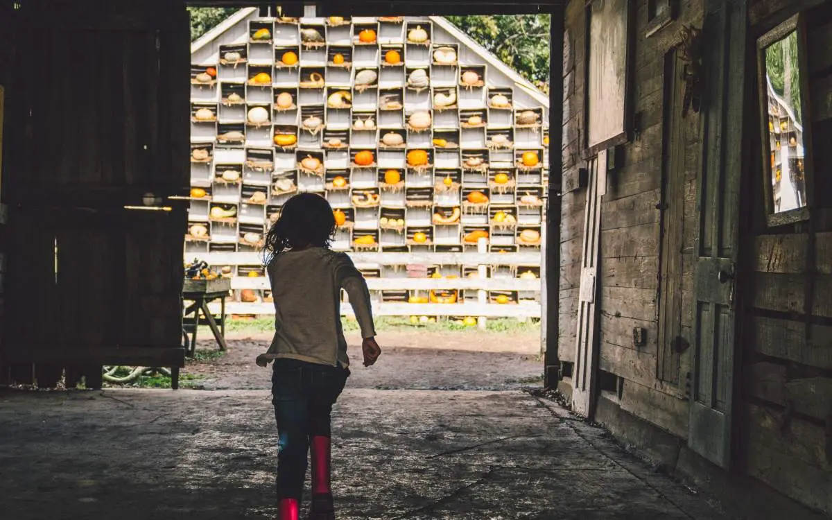 Craig’s daughter running towards a tower of pumpkins at The Great Pumpkin Patch in Arthur.