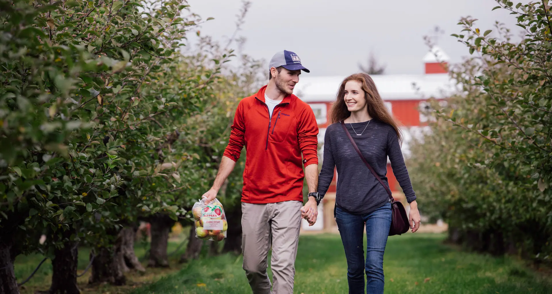 Couple walking down the Jonamac Orchard.