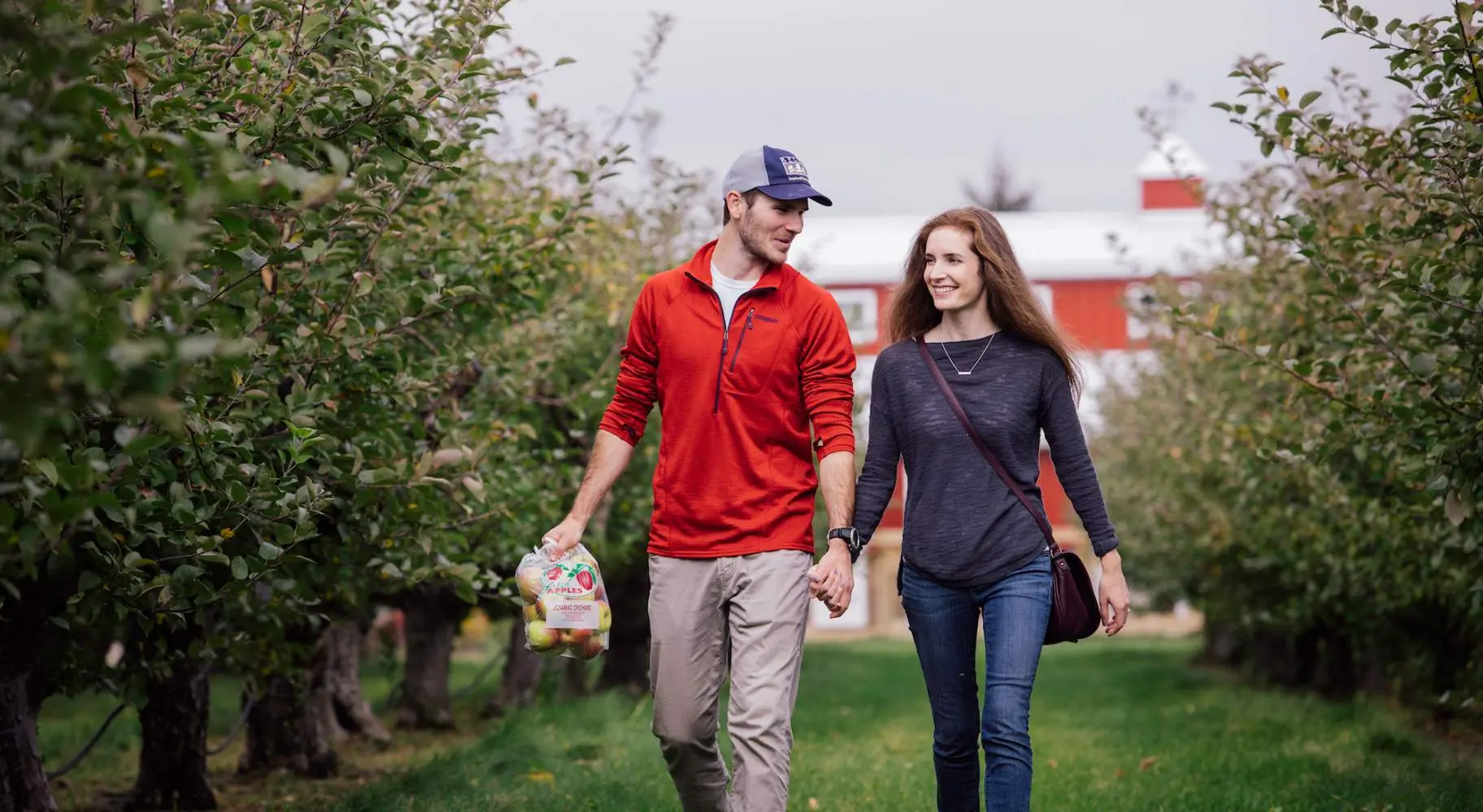 Couple walking down the Jonamac Orchard.