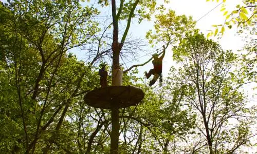 A person flies between between the tree tops