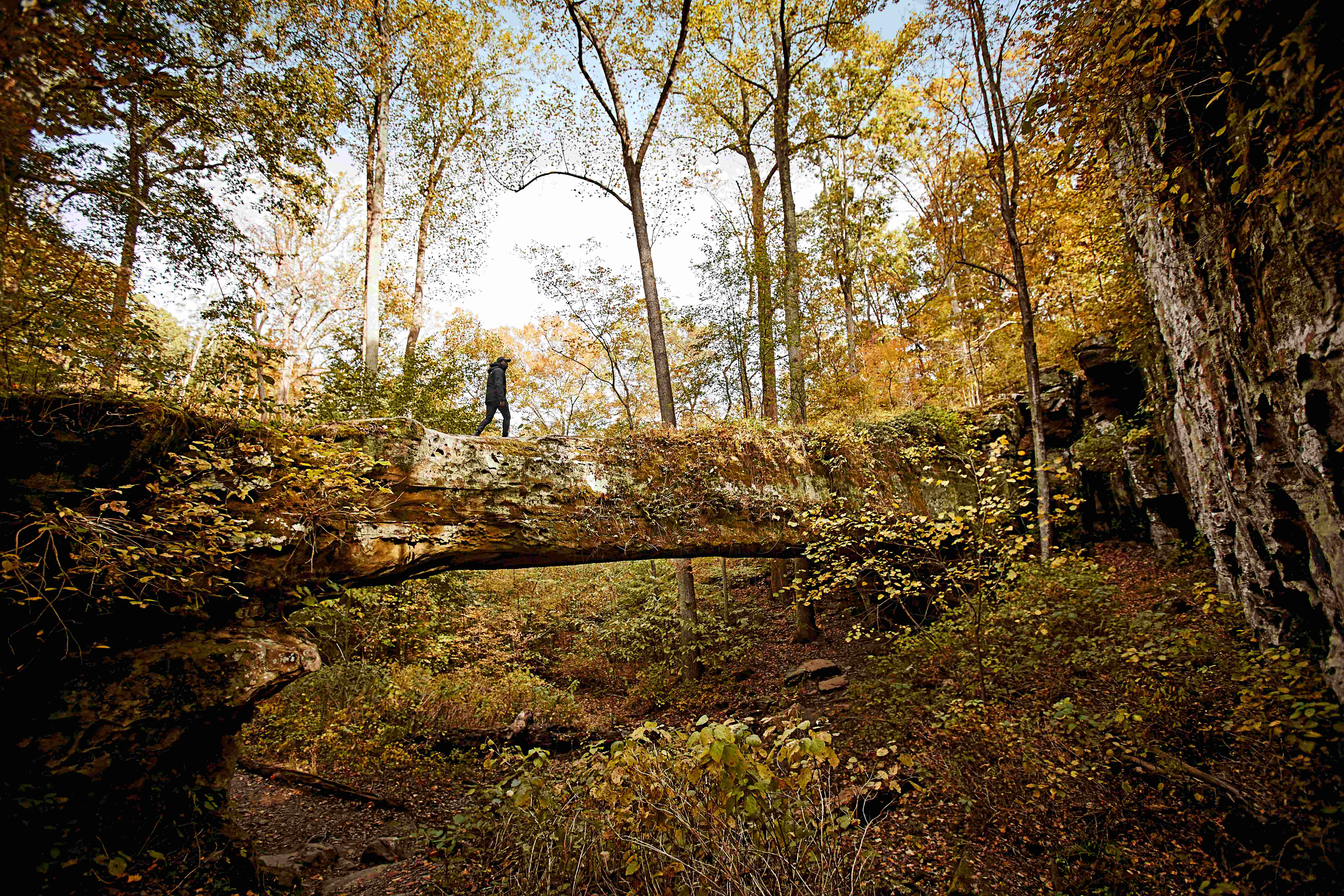 A person walking along the Pomona natural bridge in the Shawnee National Forest