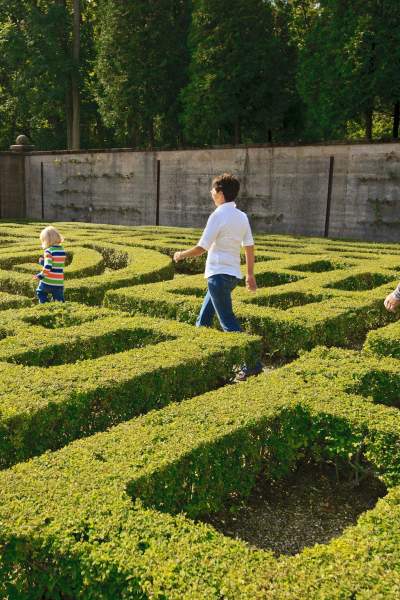 People walking through a maze garden
