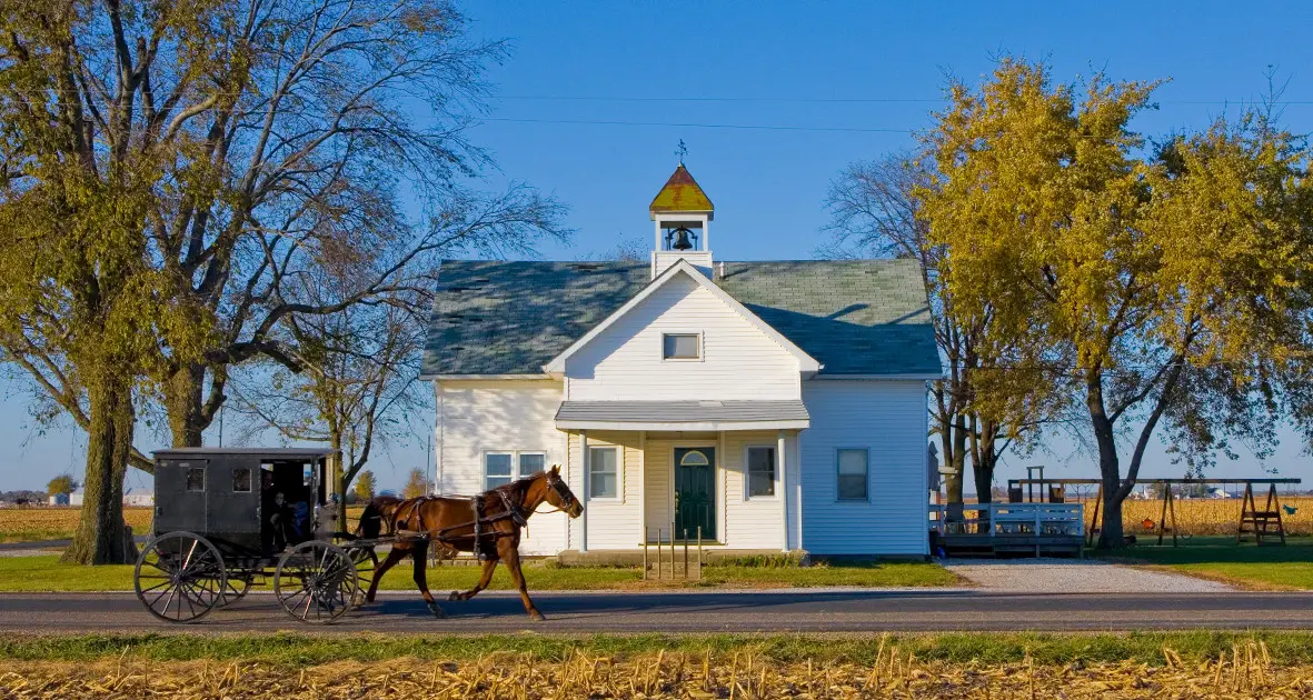 Horse Carriage going past an an Amish building 