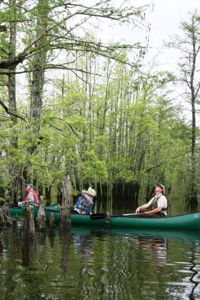 People on a boat paddling through water and trees