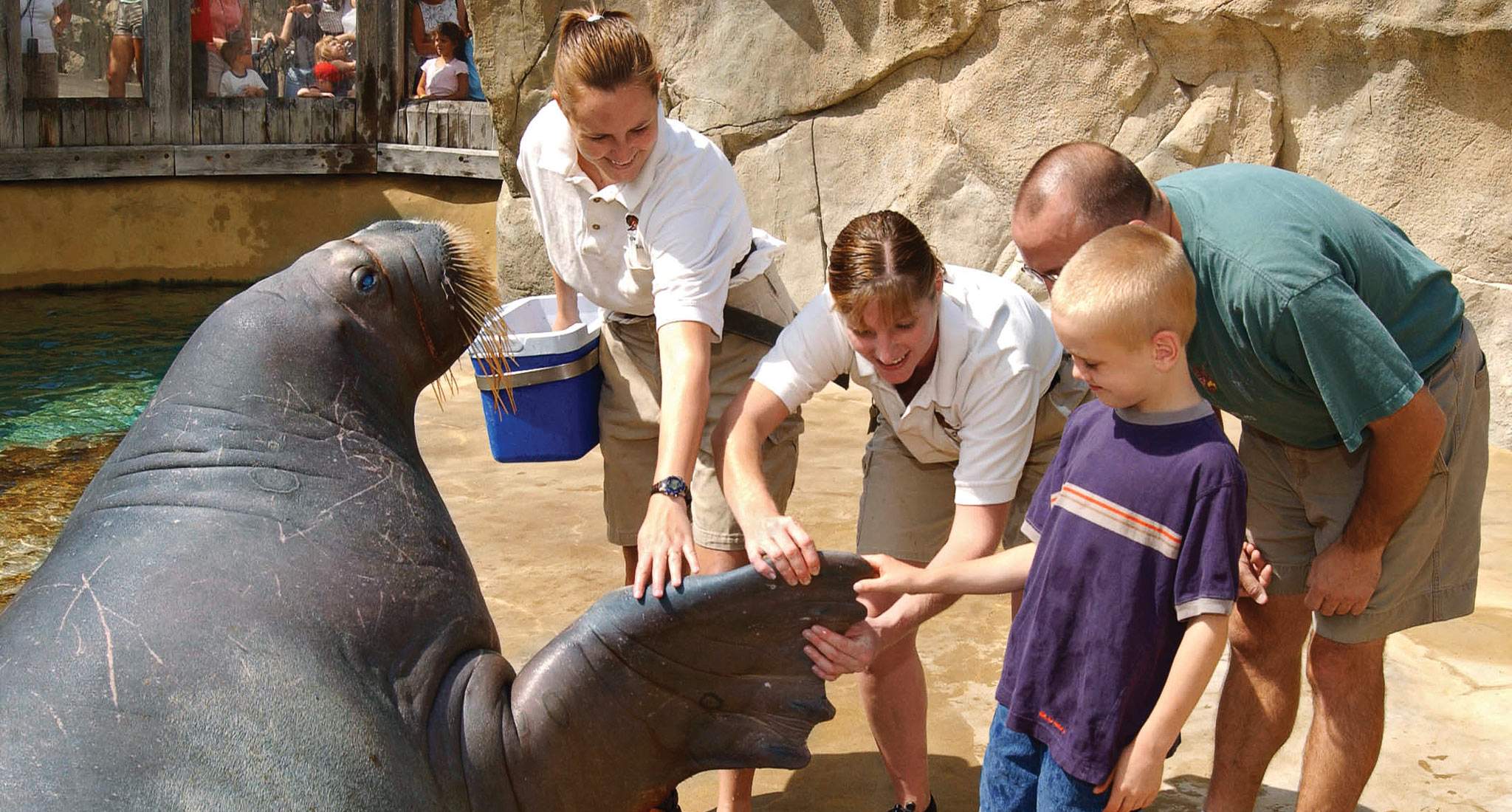 Encuentros salvajes en Chicago e Illinois | Enjoy Illinois, image size:2048x1100