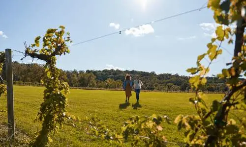 Two friends walking on a field.