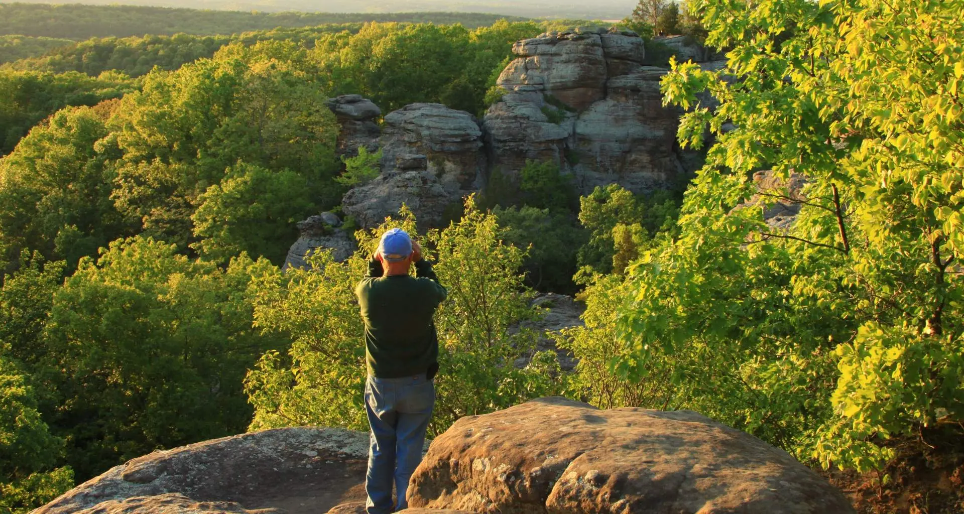 A man on a rock overlooking a forest