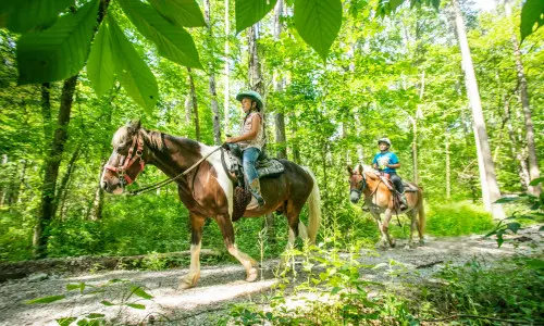 Horse riding down a trail 