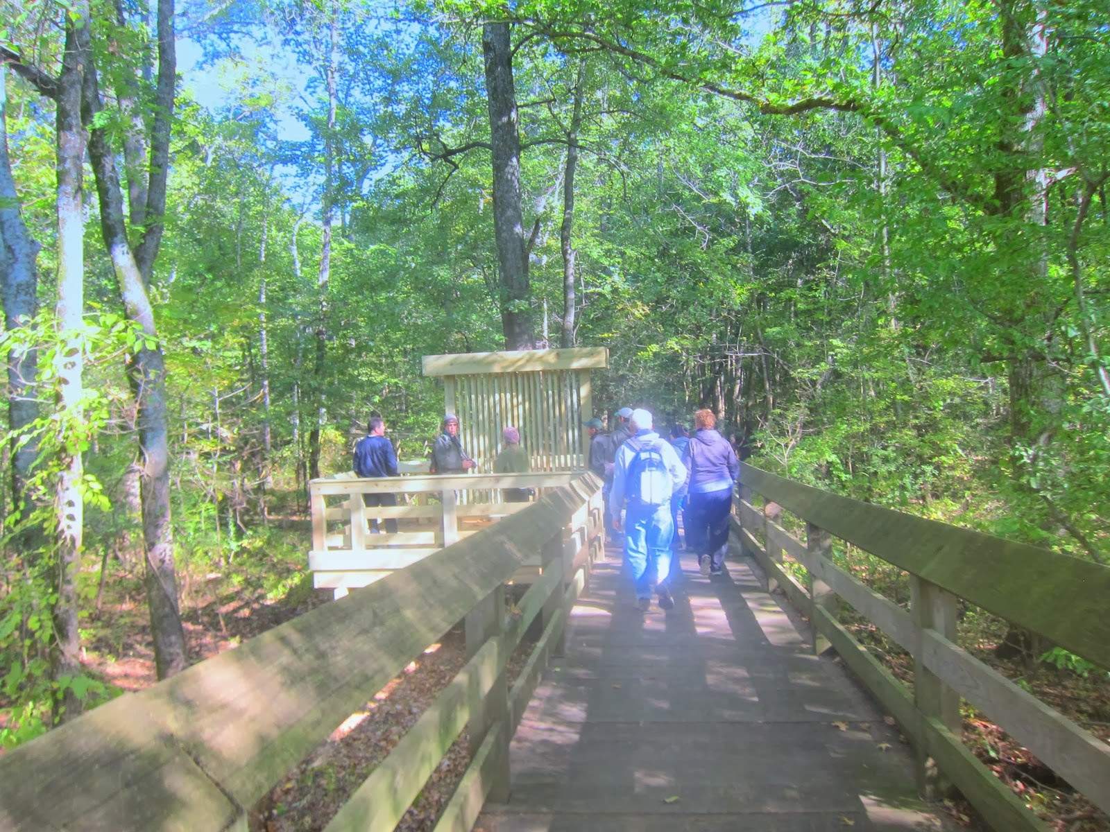 People walking along a boardwalk at the Cache River Wetlands