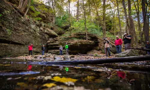 People taking photos at Ferne Clyffe State Park